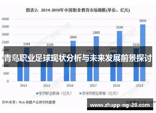 青岛职业足球现状分析与未来发展前景探讨