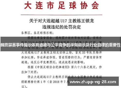 魏震禁赛事件揭示体育道德与公平竞争的深刻启示及行业自律的重要性